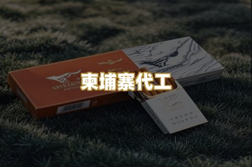 柬埔寨代工